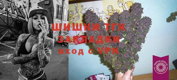 прущие грибы Майский