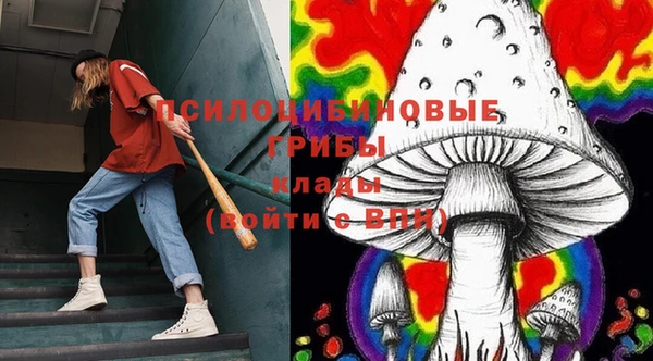дурь Магадан